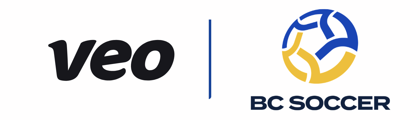 VEO Partnership